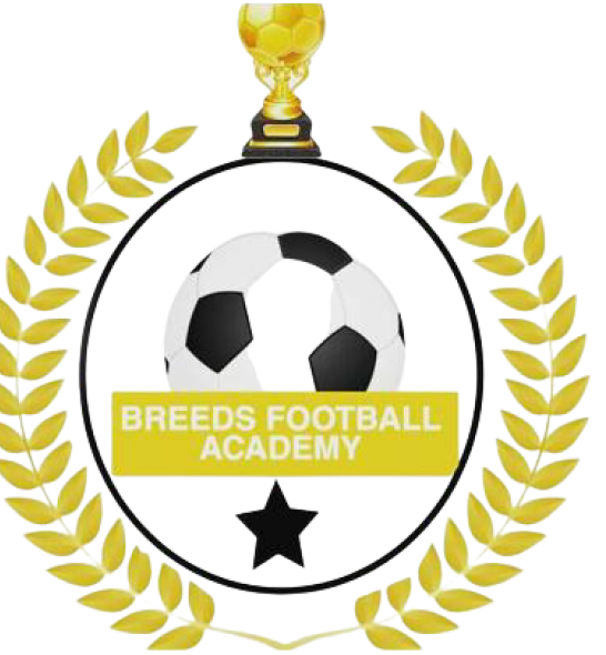 Breedsfootballacademy limited 